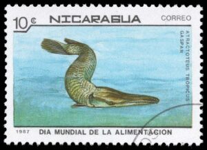 NIC1663 01XAS12
