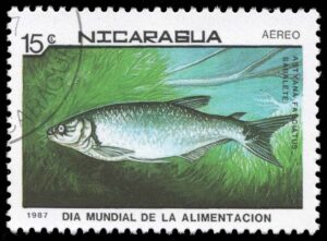 NIC1664 01XAS12