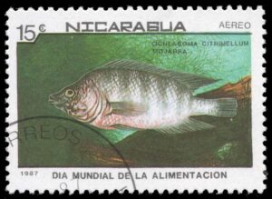 NIC1665 01XAS12