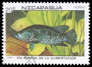NIC1666 01XAS12