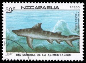 NIC1667 01XAS12