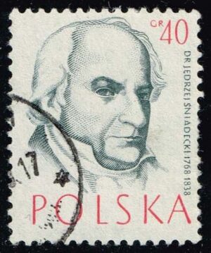 POL0771 01