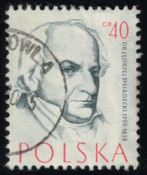 POL0771 02XDC
