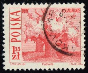 POL1445 01