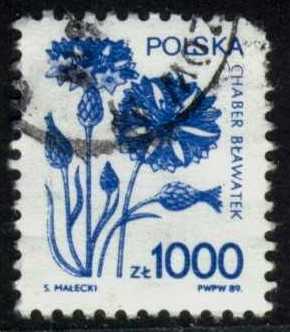 POL2921 01