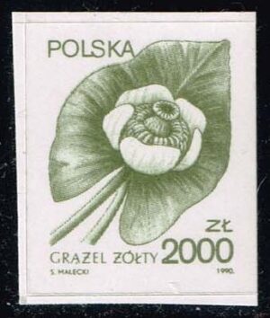 POL2978 01