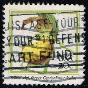 USA2077 04