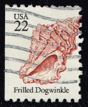 USA2117 01