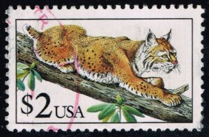 USA2482 04XRS