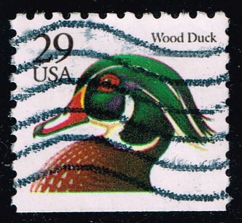 USA2484 02