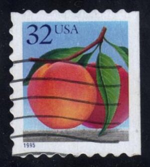 USA2493 02