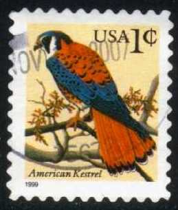 USA3031 01