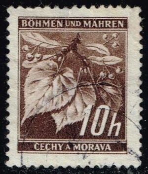 BOH021 01XRS