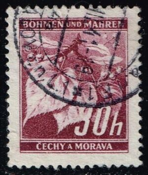 BOH024 01XRS