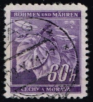 BOH049 01XRS