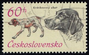 CZE1899 01