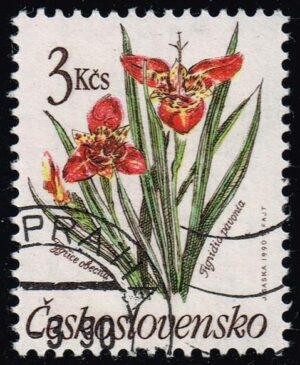 CZE2781 04XRS