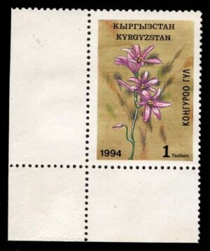 KYR0033 01XAS17