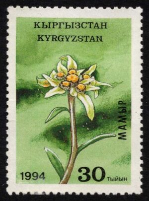 KYR0038 01XAS17