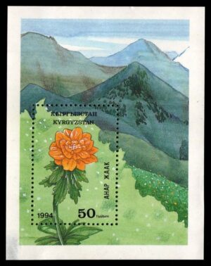 KYR0040 01XAS17