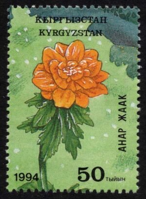 KYR0040a 01XAS17