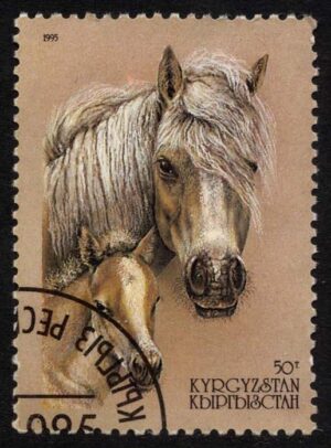 KYR0073 02XAS17