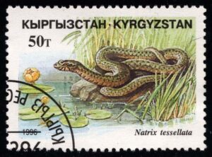 KYR0100 01XAS17
