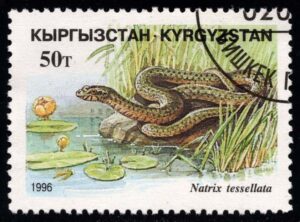 KYR0100 02XAS17