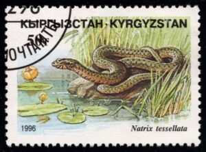 KYR0100 03XAS17