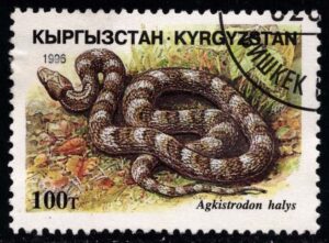 KYR0102 01XAS17