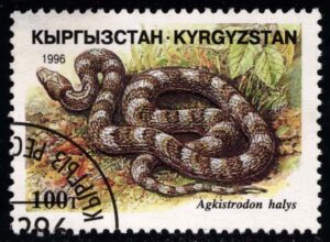 KYR0102 02XAS17