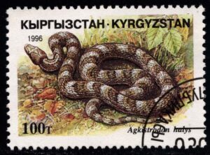 KYR0102 03XAS17
