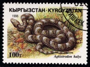 KYR0102 04XAS17