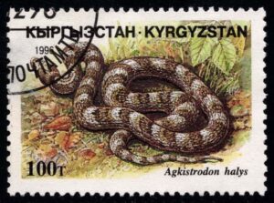 KYR0102 05XAS17