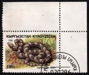 KYR0102 06XAS17