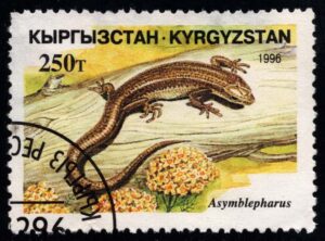 KYR0105 01XAS17