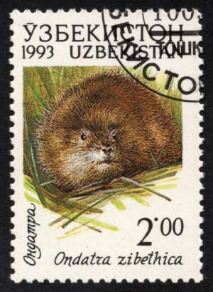 UZB0009 01XAS17