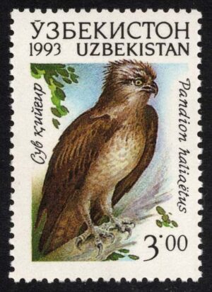UZB0010 01XAS17