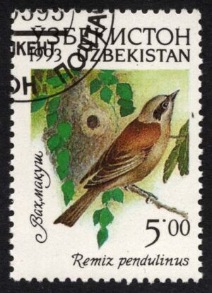 UZB0011 01XAS17