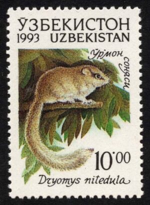 UZB0012 01XAS17
