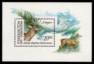 UZB0014 01XAS17