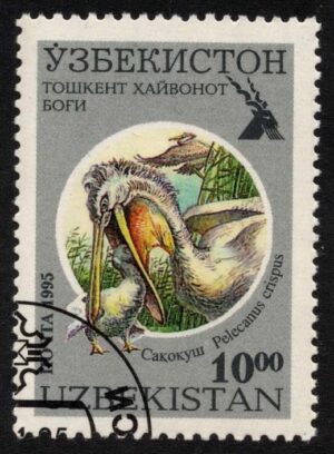 UZB0101 03XAS17