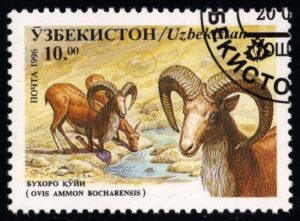 UZB0104 02XAS17