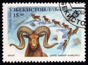 UZB0108 02XAS17